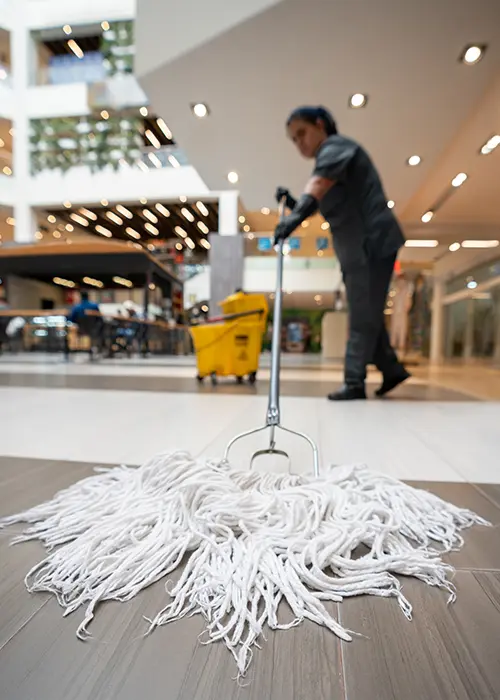 Outdoor Cleaning Outdoor Cleaning